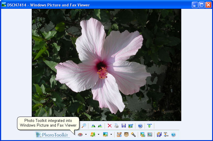 Photo Toolkit Integrated into Windows Picture and Fax Viewer